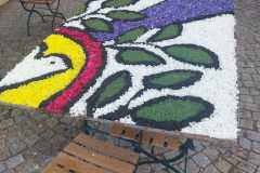 Foto: Waltraud Saier