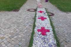 Foto: Waltraud Saier