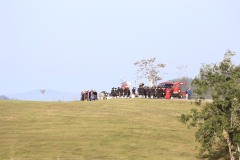 IMG_8295 Heinrich Fehrenbach