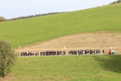 IMG_8332 Heinrich Fehrenbach