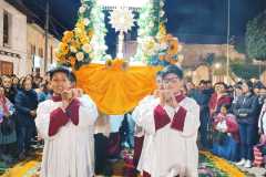 77533a67-47f2-489f-8cd0-e0c815b6c83e