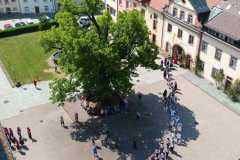 I-9f30f11d-8590-4af3-87bc-617215e53f5b