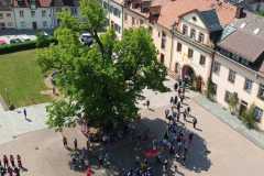 L-edbe0132-3dce-4abc-bd83-c4e5818a3fa7