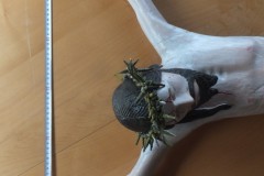 Renovation Haldenhofkreuz an der Landstraße zum Kandel