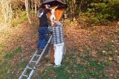 Renovation Haldenhofkreuz an der Landstraße zum Kandel
