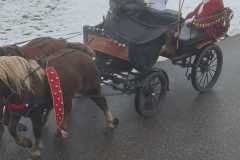 452ab078-3fe6-46dd-894b-c00926e7e0a6