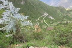 IMG_1811