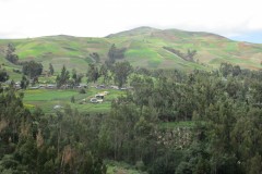 IMG_1856