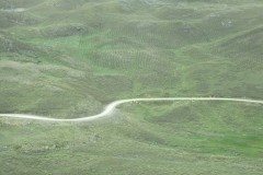 IMG_2137