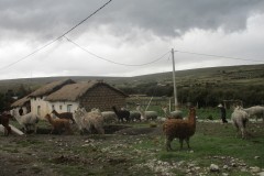 IMG_2162