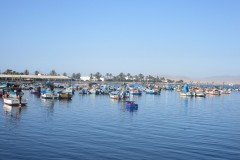 IMG_2353