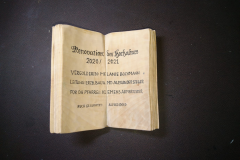 Foto: Waltraud Saier