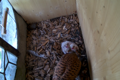 vlcsnap-2020-06-03-22h34m04s471